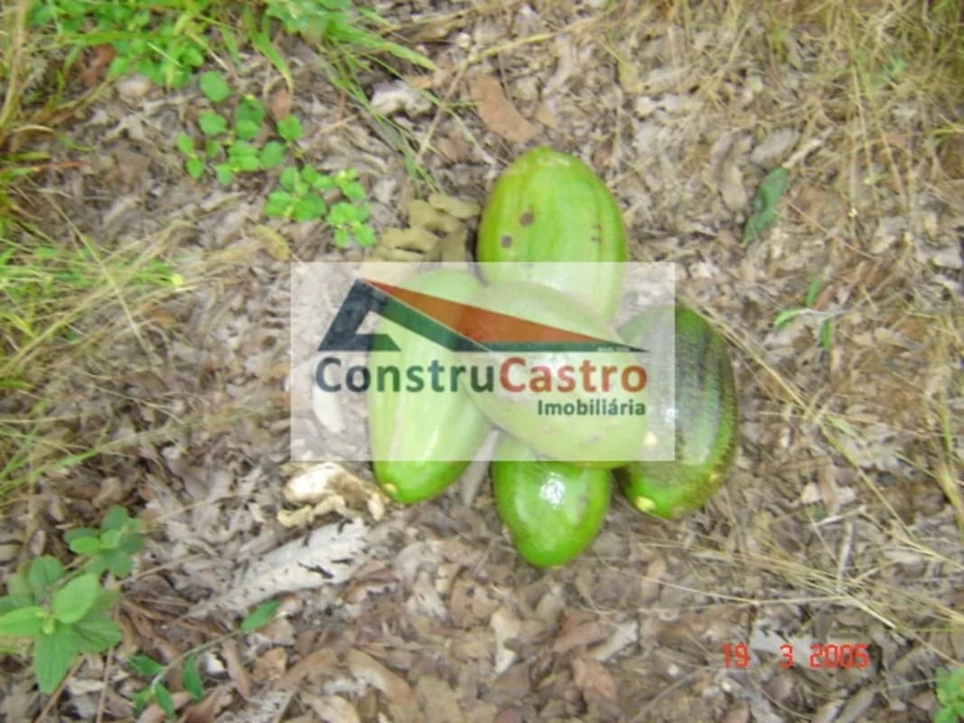 Lote Residencial À Venda, Residencial Aurora das Mansoes: foto 5