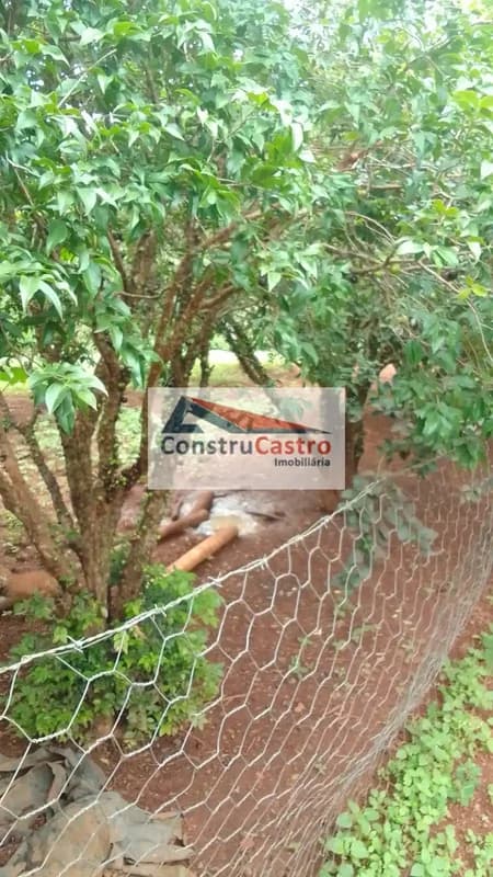 Chácara de 3 Quartos À Venda, Chacaras Vargem Bonita Ii: foto 6