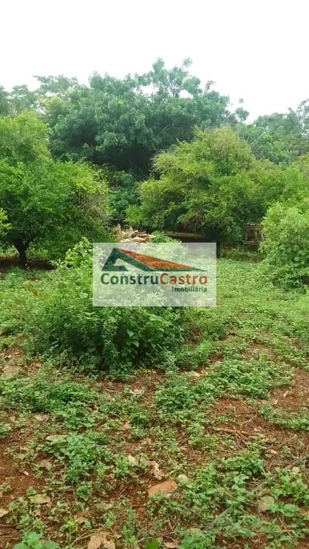 Chácara de 3 Quartos À Venda, Chacaras Vargem Bonita Ii: foto 7