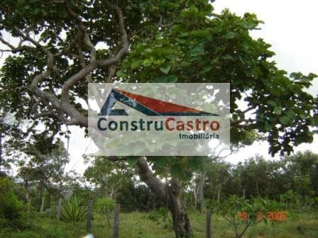 Chácara À Venda, Senador Canedo: foto 1