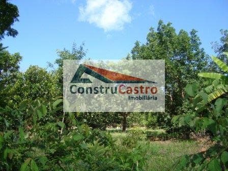 Chácara À Venda, Senador Canedo: foto 3