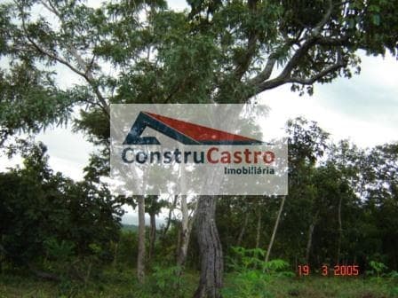 Chácara À Venda, Senador Canedo: foto 5