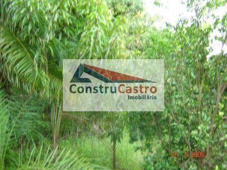 Chácara À Venda, Senador Canedo: foto 6