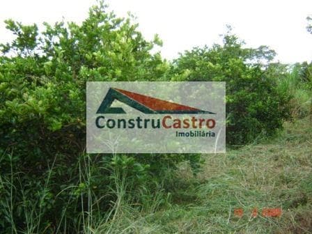 Chácara À Venda, Senador Canedo: foto 7
