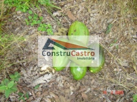 Chácara À Venda, Senador Canedo: foto 8